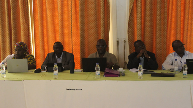 29/09/16 Filire coton-anacarde : Un atelier bilan de la campagne 2016 se tient  Bouak
